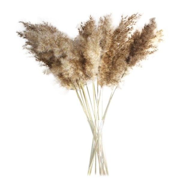 30/50pcs Bulrush Natural Dried Small Pampas Grass Artificial Decor Wedding Flower Bunch Home Office  Floor Vase Filler for Living Room Kitchen And Event Decoration Stevvex