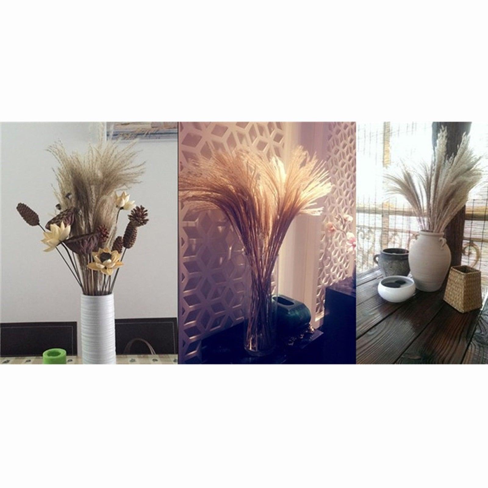 30/50pcs Bulrush Natural Dried Small Pampas Grass Artificial Decor Wedding Flower Bunch Home Office  Floor Vase Filler for Living Room Kitchen And Event Decoration Stevvex
