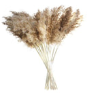 30/50pcs Bulrush Natural Dried Small Pampas Grass Artificial Decor Wedding Flower Bunch Home Office  Floor Vase Filler for Living Room Kitchen And Event Decoration Stevvex