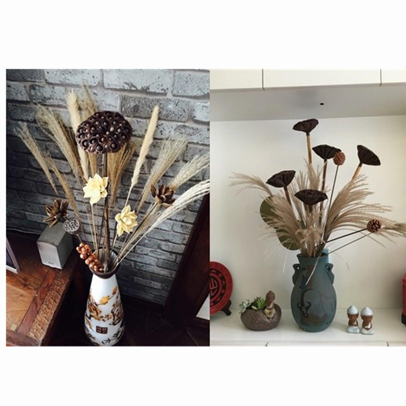30/50pcs Bulrush Natural Dried Small Pampas Grass Artificial Decor Wedding Flower Bunch Home Office  Floor Vase Filler for Living Room Kitchen And Event Decoration Stevvex