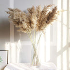 30/50pcs Bulrush Natural Dried Small Pampas Grass Artificial Decor Wedding Flower Bunch Home Office  Floor Vase Filler for Living Room Kitchen And Event Decoration Stevvex