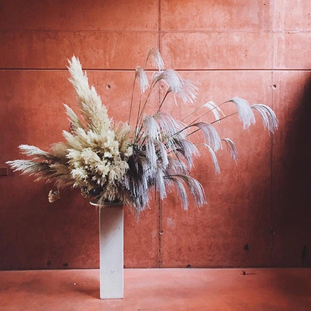 30/50pcs Bulrush Natural Dried Small Pampas Grass Artificial Decor Wedding Flower Bunch Home Office  Floor Vase Filler for Living Room Kitchen And Event Decoration Stevvex
