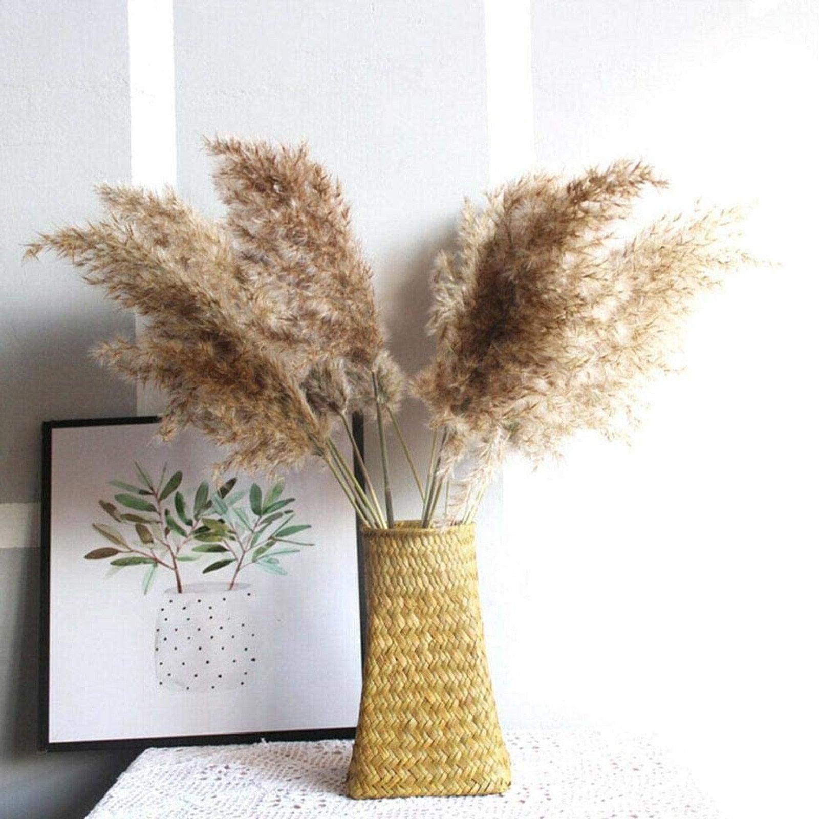 30/50pcs Bulrush Natural Dried Small Pampas Grass Artificial Decor Wedding Flower Bunch Home Office  Floor Vase Filler for Living Room Kitchen And Event Decoration Stevvex