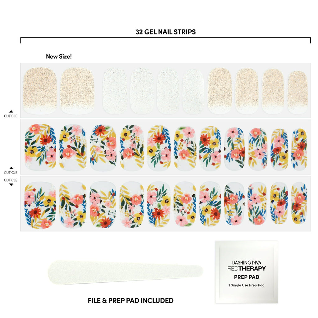 Dashing Diva Gloss Palette Wallflower Frenzy EasyOptionXY LLC