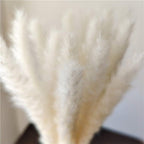 30Pcs Dried Bulrush Flowers Bouquet Home Wedding Decoration Table Flores Preservadas Pampas Grass Natural Reed Decor for Room Stevvex