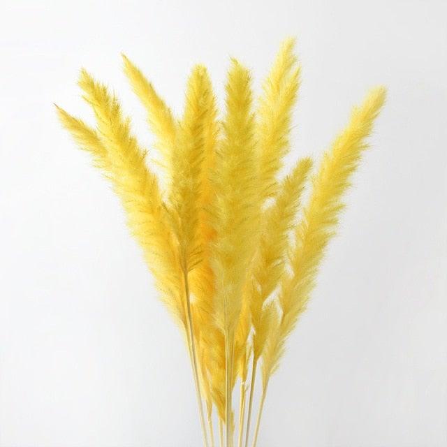 30Pcs Dried Bulrush Flowers Bouquet Home Wedding Decoration Table Flores Preservadas Pampas Grass Natural Reed Decor for Room Stevvex