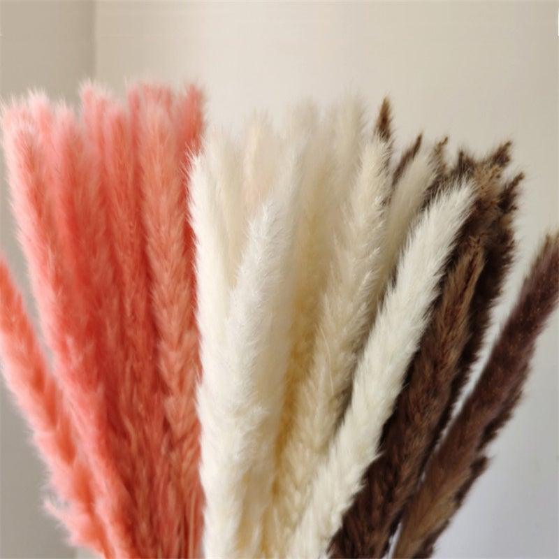 30Pcs Dried Bulrush Flowers Bouquet Home Wedding Decoration Table Flores Preservadas Pampas Grass Natural Reed Decor for Room Stevvex