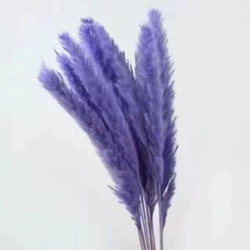 30Pcs Dried Bulrush Flowers Bouquet Home Wedding Decoration Table Flores Preservadas Pampas Grass Natural Reed Decor for Room Stevvex