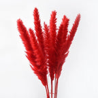 30Pcs Dried Bulrush Flowers Bouquet Home Wedding Decoration Table Flores Preservadas Pampas Grass Natural Reed Decor for Room Stevvex