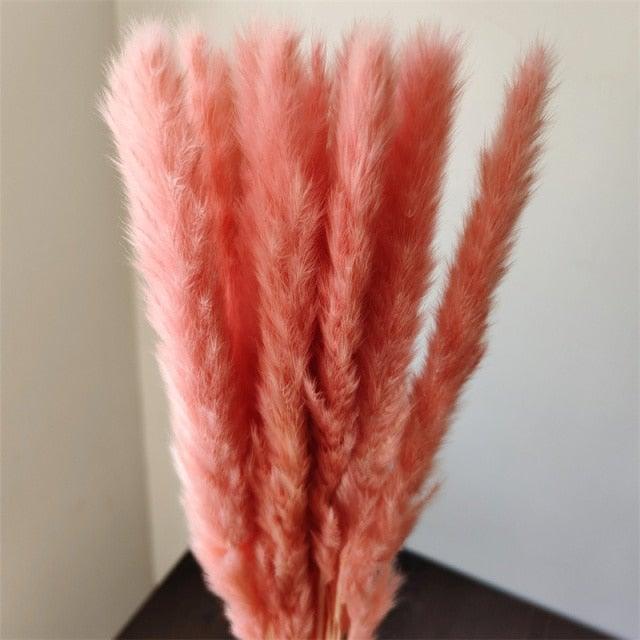 30Pcs Dried Bulrush Flowers Bouquet Home Wedding Decoration Table Flores Preservadas Pampas Grass Natural Reed Decor for Room Stevvex