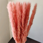 30Pcs Dried Bulrush Flowers Bouquet Home Wedding Decoration Table Flores Preservadas Pampas Grass Natural Reed Decor for Room Stevvex