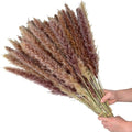 30pcs Natural Dried Pampas Grass Bouquet Pampas Grass Reeds Flowers Bulrush Bouquets Durable For for Vase Artificial Grass Room Décor Wedding Decorations Stevvex