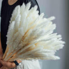 30pcs Natural Dried Pampas Grass Bouquet Pampas Grass Reeds Flowers Bulrush Bouquets Durable For for Vase Artificial Grass Room Décor Wedding Decorations Stevvex