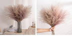 30pcs Natural Dried Pampas Grass Bouquet Pampas Grass Reeds Flowers Bulrush Bouquets Durable For for Vase Artificial Grass Room Décor Wedding Decorations Stevvex