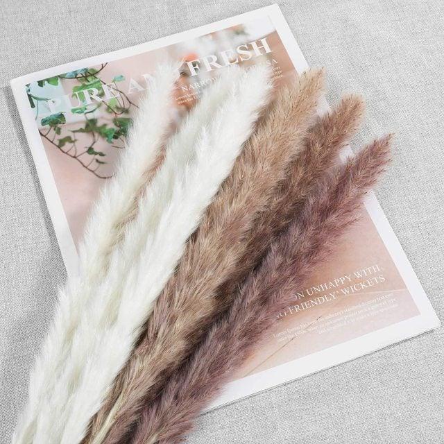 30pcs Natural Dried Pampas Grass Bouquet Pampas Grass Reeds Flowers Bulrush Bouquets Durable For for Vase Artificial Grass Room Décor Wedding Decorations Stevvex