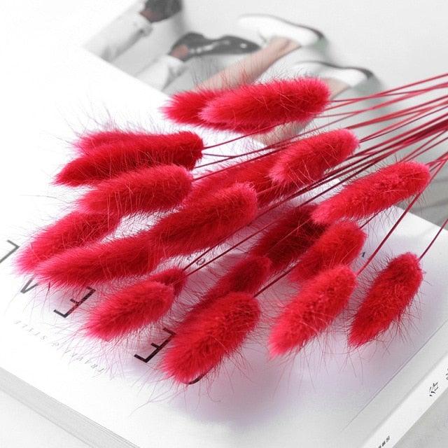 30pcs Natural Dried Pampas Grass Bouquet Pampas Grass Reeds Flowers Bulrush Bouquets Durable For for Vase Artificial Grass Room Décor Wedding Decorations Stevvex