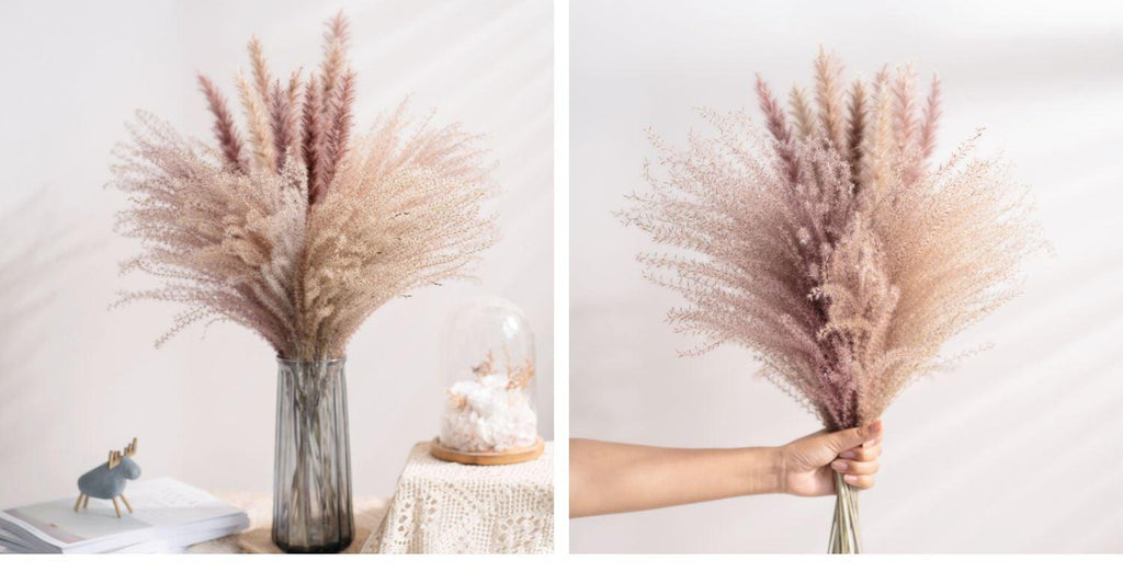 30pcs Natural Dried Pampas Grass Bouquet Pampas Grass Reeds Flowers Bulrush Bouquets Durable For for Vase Artificial Grass Room Décor Wedding Decorations Stevvex