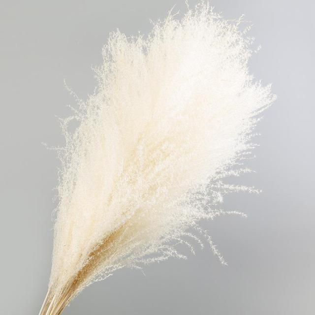30pcs Natural Dried Pampas Grass Bouquet Pampas Grass Reeds Flowers Bulrush Bouquets Durable For for Vase Artificial Grass Room Décor Wedding Decorations Stevvex