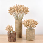 30pcs Natural Dried Pampas Grass Bouquet Pampas Grass Reeds Flowers Bulrush Bouquets Durable For for Vase Artificial Grass Room Décor Wedding Decorations Stevvex
