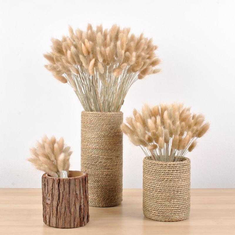 30pcs Natural Dried Pampas Grass Bouquet Pampas Grass Reeds Flowers Bulrush Bouquets Durable For for Vase Artificial Grass Room Décor Wedding Decorations Stevvex