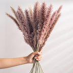 30pcs Natural Dried Pampas Grass Bouquet Pampas Grass Reeds Flowers Bulrush Bouquets Durable For for Vase Artificial Grass Room Décor Wedding Decorations Stevvex