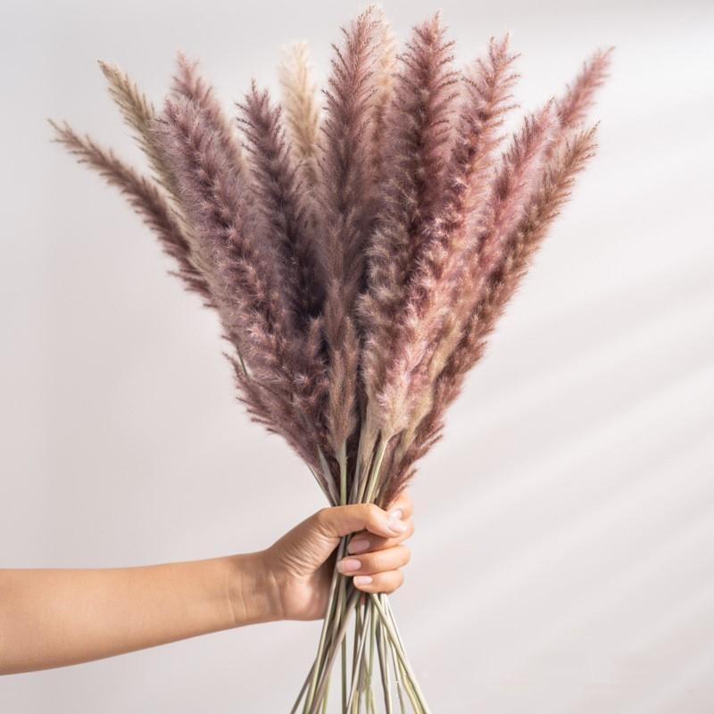 30pcs Natural Dried Pampas Grass Bouquet Pampas Grass Reeds Flowers Bulrush Bouquets Durable For for Vase Artificial Grass Room Décor Wedding Decorations Stevvex