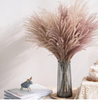 30pcs Natural Dried Pampas Grass Bouquet Pampas Grass Reeds Flowers Bulrush Bouquets Durable For for Vase Artificial Grass Room Décor Wedding Decorations Stevvex