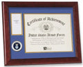 United States Air Force Medal and Award Frame. The Military Gift Store