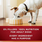 Purina One True Instinct Wet Dog Food for Adult Dogs, Grain-Free, 13 oz Cans (12 Pack) EasyOptionXY LLC