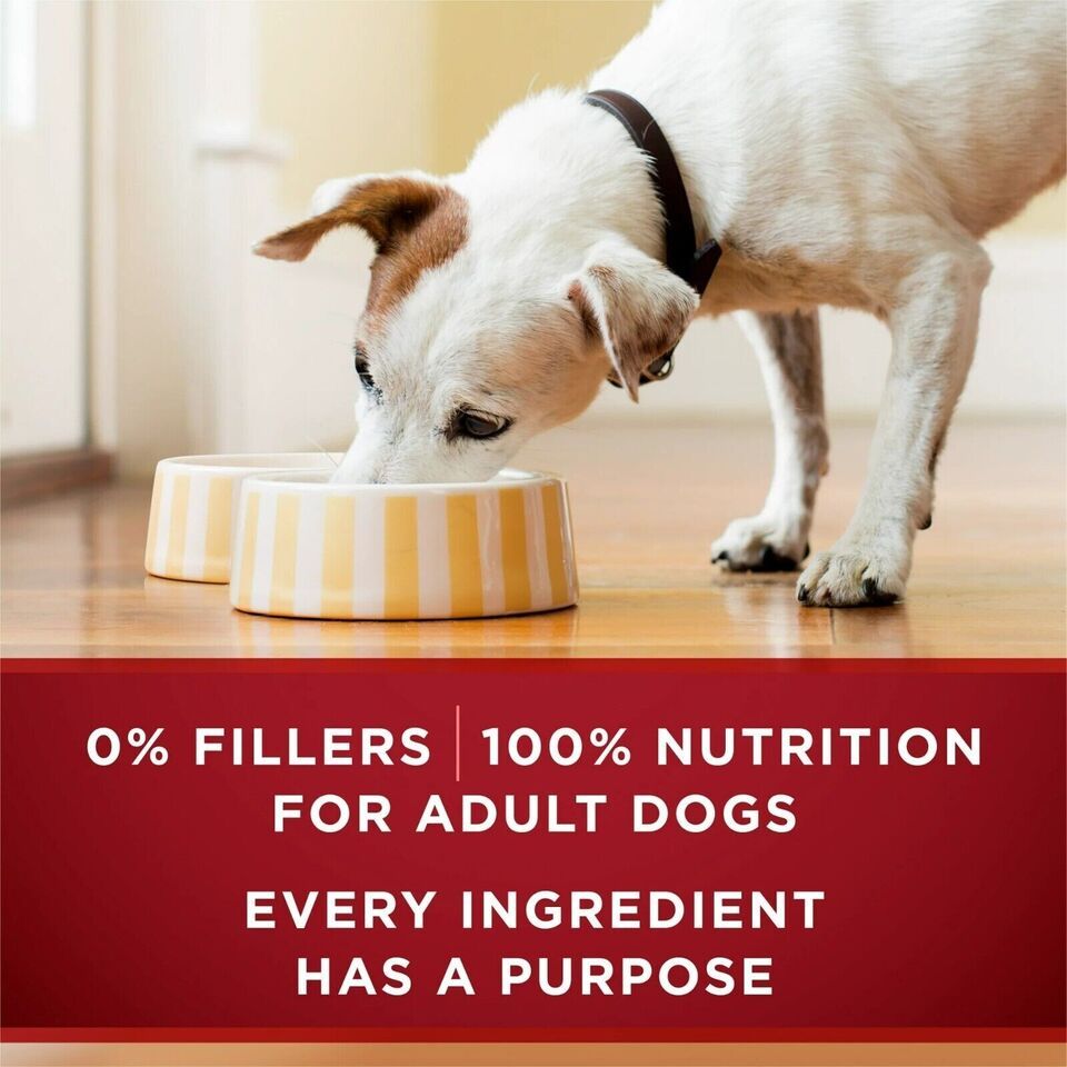 Purina One True Instinct Wet Dog Food for Adult Dogs, Grain-Free, 13 oz Cans (12 Pack) EasyOptionXY LLC