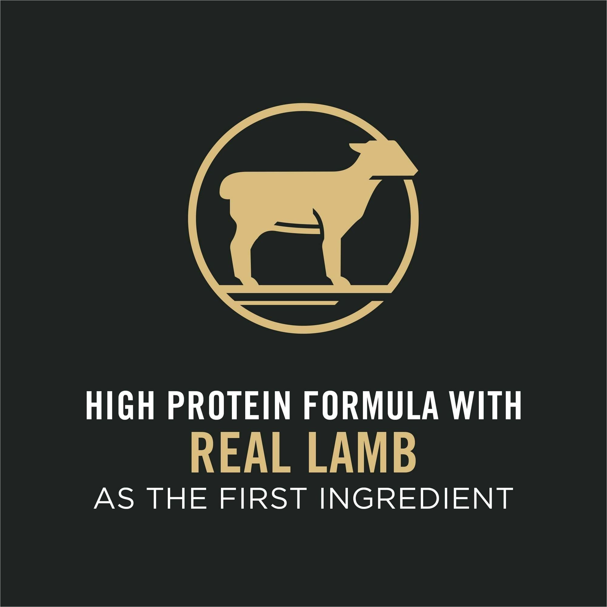 Purina Pro Plan Lamb and Rice Dry Dog Food for All Ages, 37.5 lb Bag EasyOptionXY LLC