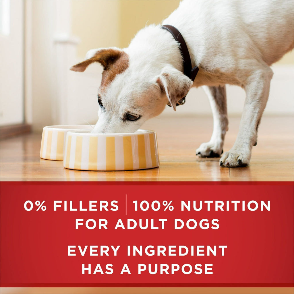 Purina One Classic Ground for Adult Dogs Chicken and Brown Rice, 13 oz Cans (12 Pack) EasyOptionXY LLC