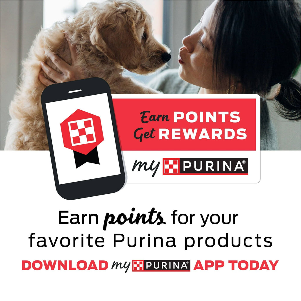 Purina Busy With Beggin Real Bacon Long Lasting Chew for Dogs, 36 oz Pouch EasyOptionXY LLC