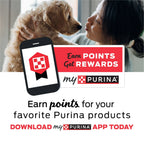 Purina Busy With Beggin Real Bacon Long Lasting Chew for Dogs, 36 oz Pouch EasyOptionXY LLC
