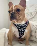 The ''Ariel'' harness Small to Medium Size - SJB-DIAMOND ELITES