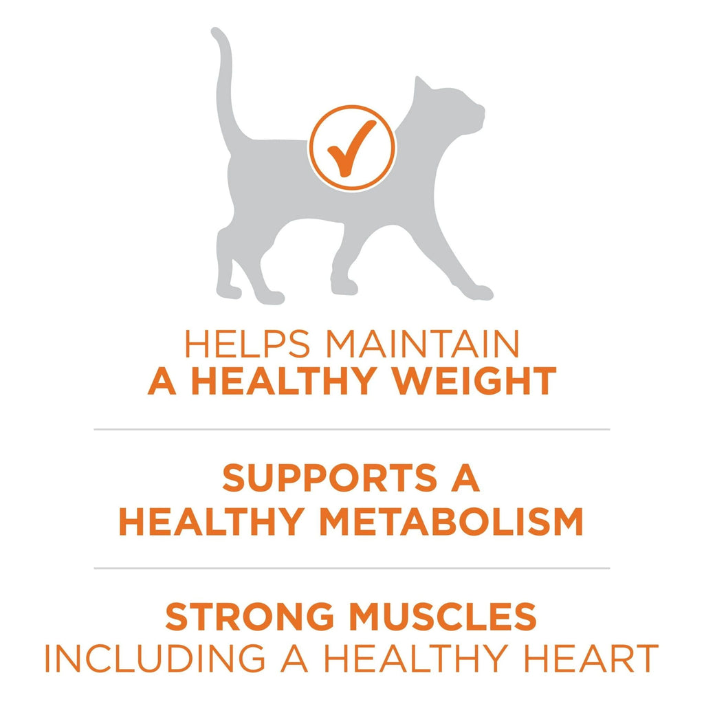 Purina One +Plus Ideal Weight High Protein Dry Cat Food Turkey, 16 lb Bag EasyOptionXY LLC