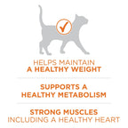 Purina One +Plus Ideal Weight High Protein Dry Cat Food Turkey, 16 lb Bag EasyOptionXY LLC