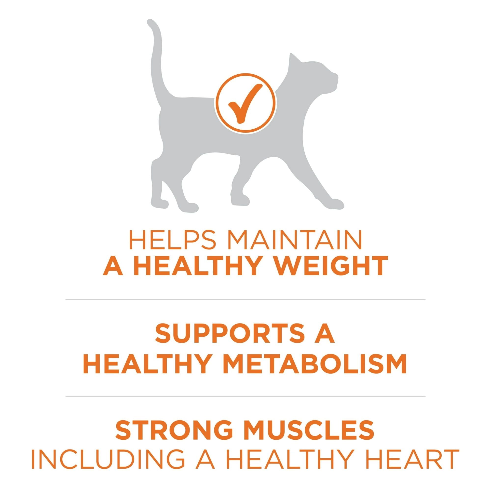 Purina One +Plus Ideal Weight High Protein Dry Cat Food Turkey, 16 lb Bag EasyOptionXY LLC