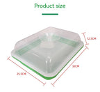 Soilless Cultivation Planting Plate Vegetable Double Layer Vegetable Seed Germination Plate