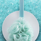 Mesh Back Brush w/ Mesh Sponge EasyOptionXY LLC