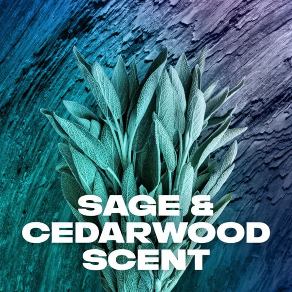 AXE Body Wash Apollo Sage & Cedarwood Men's Shower Gel, 32 oz EasyOptionXY LLC