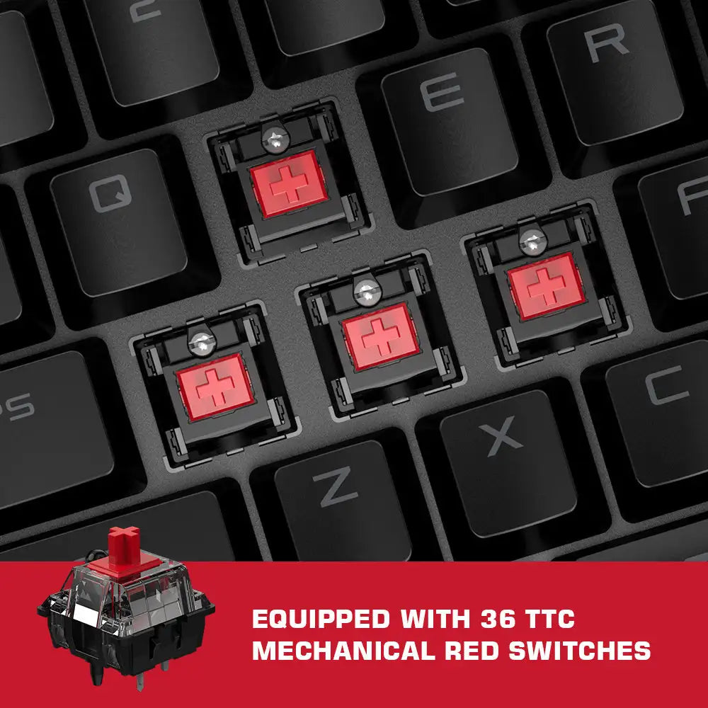 Keyboard and mouse