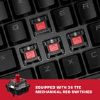 Keyboard and mouse