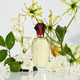 Paul Sebastian Design Eau De Parfum Spray Perfume For Women 1.7 Fl Oz EasyOptionXY LLC