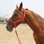Horse Bridle Horse Headgear Can Be Customized Equestrian Equipment And Other Equestrian Supplies Lootquake LLC