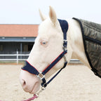 New Fleece Lined Horse Halter Lootquake LLC