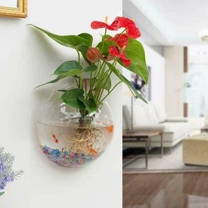 Wall-Mounted Fish Bowl Pi-Mart