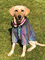 Microcrystalline reflective dog clothes Pi-Mart