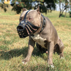 ''Aztec'' Dark Brown Basket Muzzle - SJB-DIAMOND ELITES