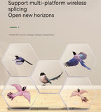 3D Holographic Advertising Machine With Hexagonal Ornaments For Naked Eye 3D Display